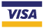 Visa logo shown to indicate kangaroo golf accepts Visa payment